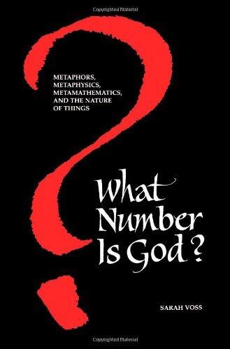 What Number Is God?: Metaphors, Metaphysics, Metamathematics, and the Nature of Things (Suny Series)