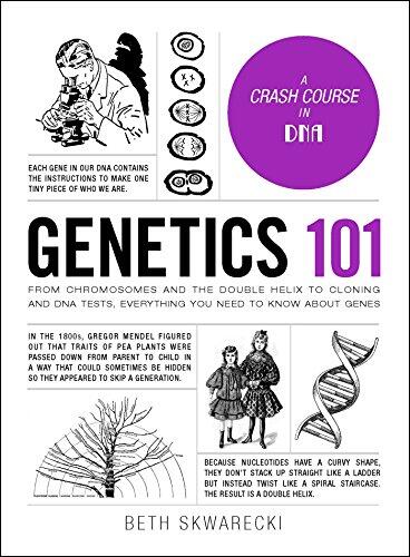 Genetics 101: From Chromosomes and the Double Helix to Cloning and DNA Tests, Everything You Need to Know about Genes (Adams 101) by Beth Skwarecki, Adams Media
