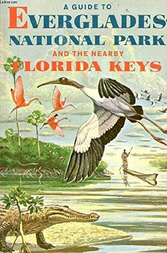 A Guide to Everglades National Park and the Nearby Florida Keys