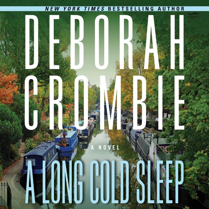 A Long Cold Sleep: A Novel