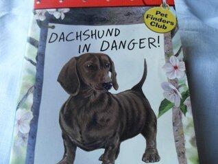Dachshund in Danger