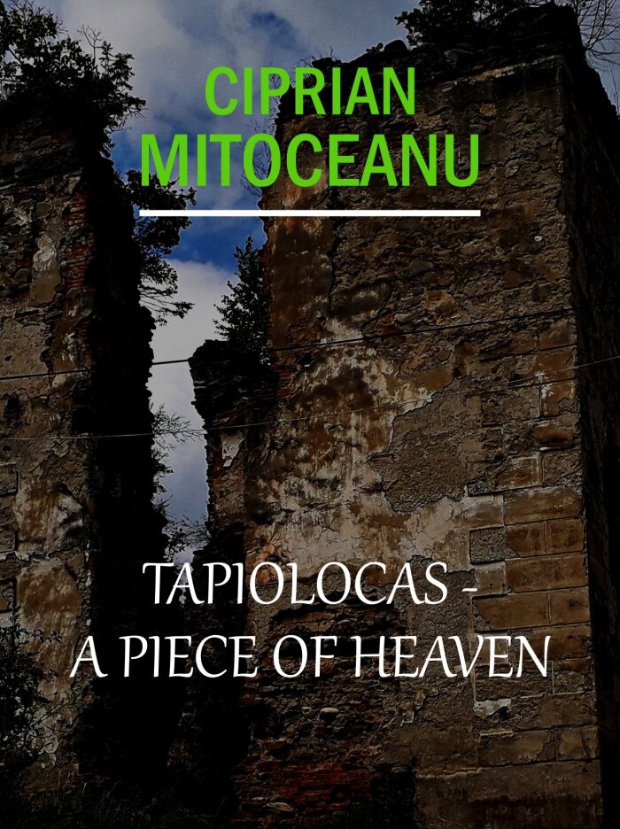 Tapiolocas - A Piece of Heaven