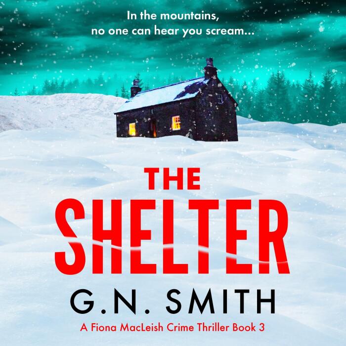 The Shelter: A Fiona MacLeish Crime Thriller, Book 3