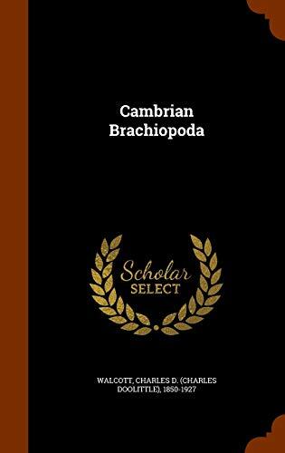 Cambrian Brachiopoda
