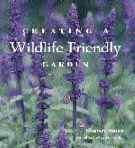 Creating a Wildlife-Friendly Garden
