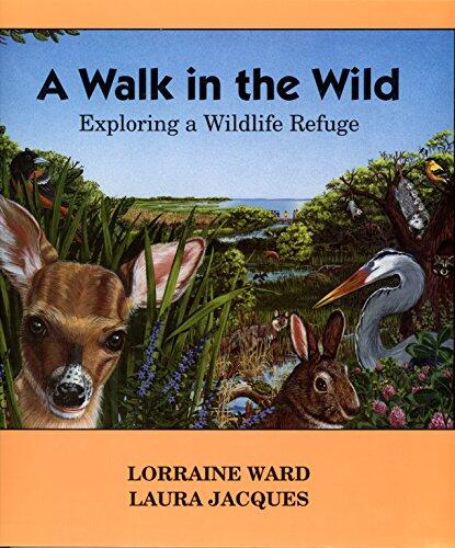 A Walk in the Wild