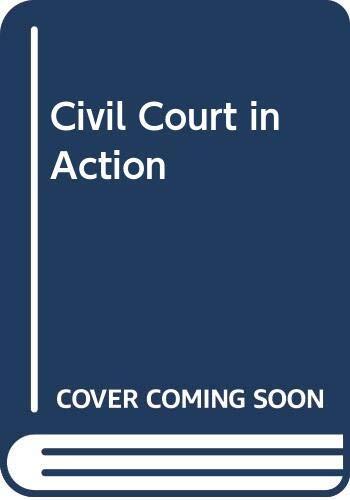 The Civil Court in Action