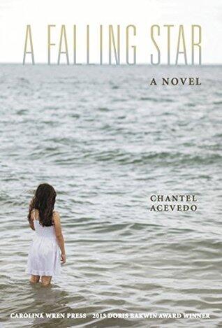 A Falling Star: A Novel