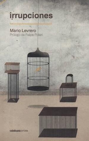 Irrupciones Mario Levrero