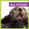 Sea Otters
