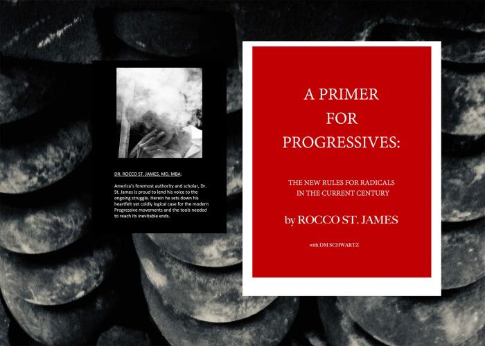 A Primer for Progressives:: The New Rules for Radicals in the Current Century