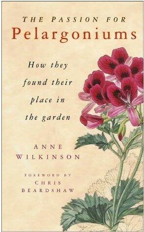 The Passion for Pelargoniums: How They Found Their Place in the Garden