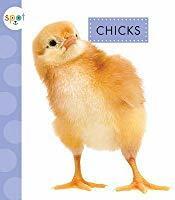 Chicks