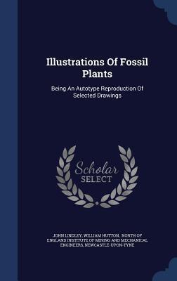 Illustrations Of Fossil Plants: Being An Autotype Reproduction Of Selected Drawings
