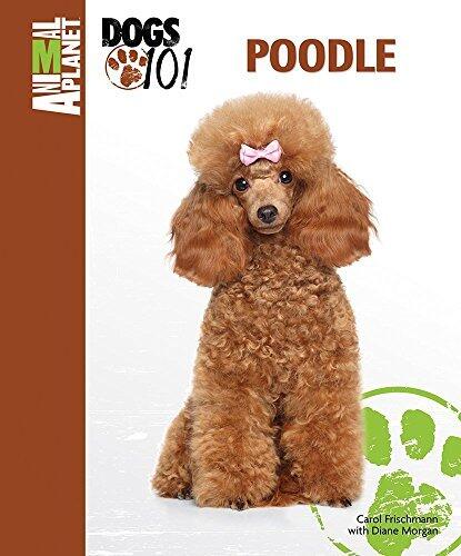 Poodle