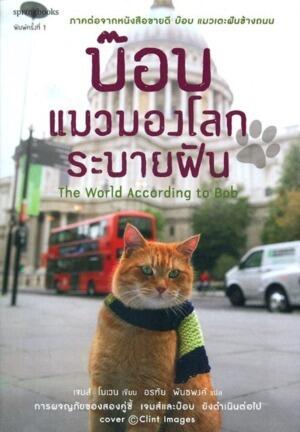 บ๊อบ แมวมองโลกระบายฝัน