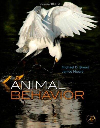 Animal Behavior (Paperback, 2011)
