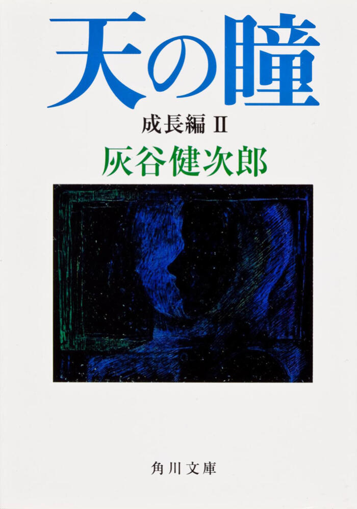 天の瞳 成長編 2