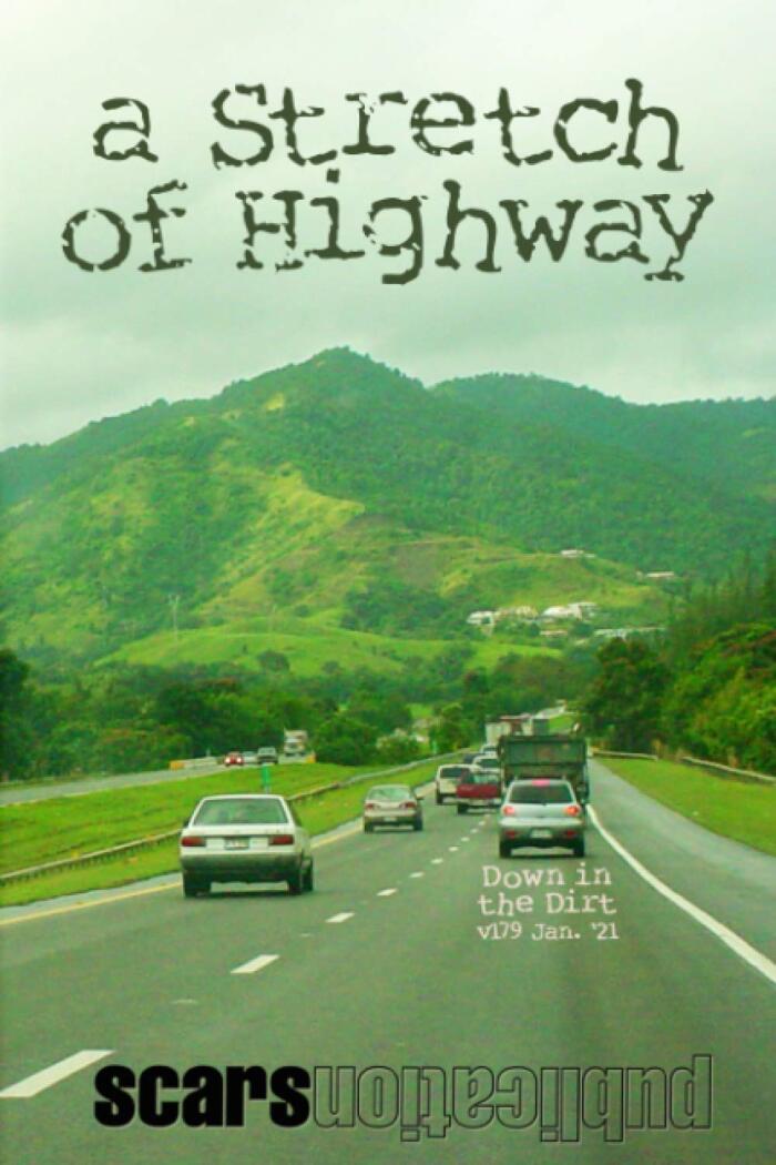 A Stretch of Highway: 1-21 Down in the Dirt (v179)
