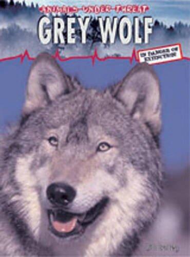 Grey Wolf