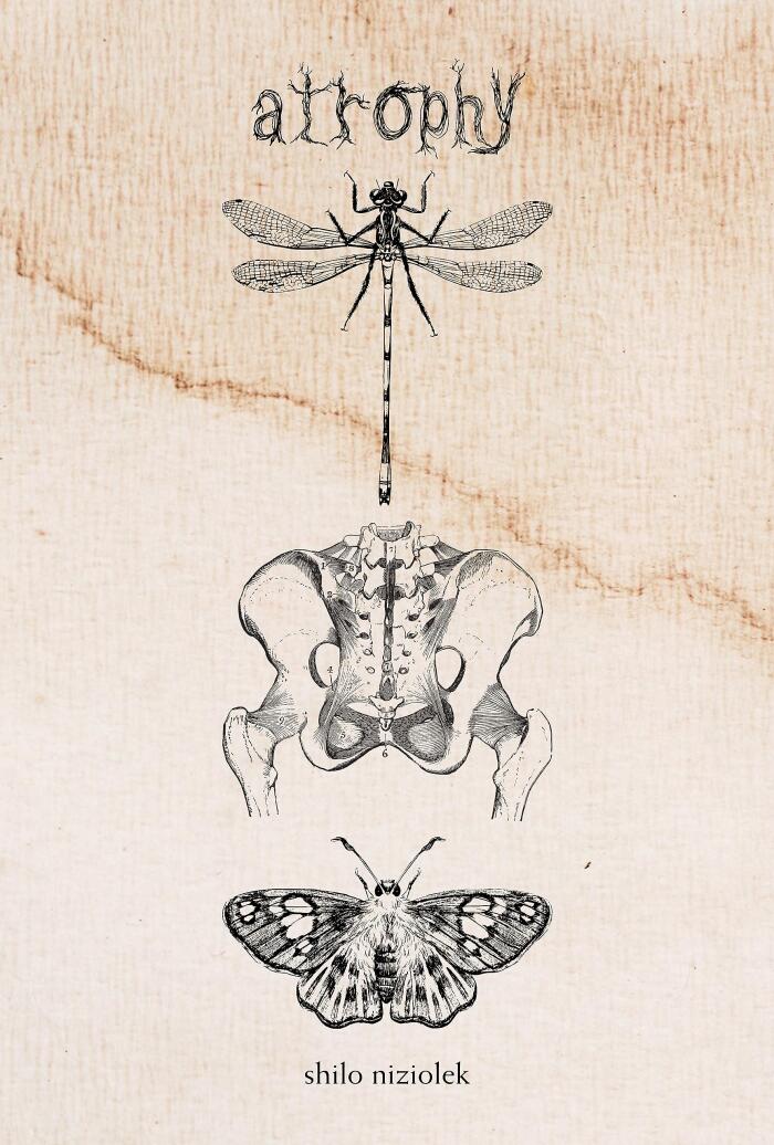 atrophy