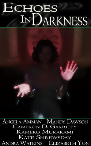 Echoes in Darkness