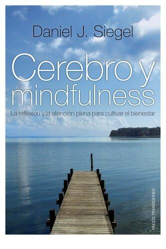 Cerebro y mindfulness: La reflexión y la atención plena para cultivar el bienestar (Transiciones)