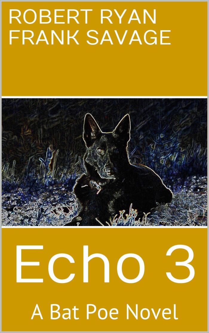 Echo 3