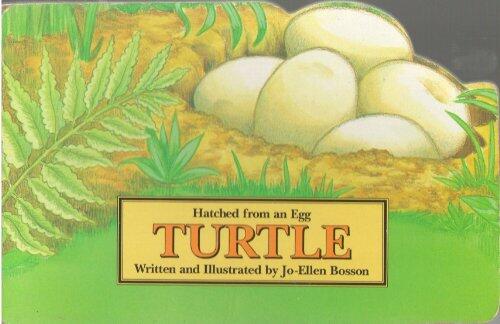 Turtle