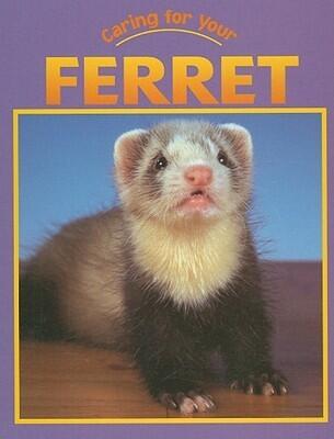 Ferret