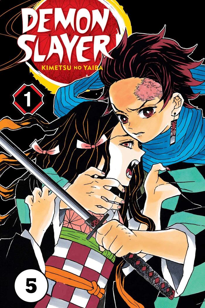 Demon Manga Vol 5: Demon Slayer Manga