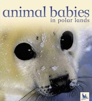 Animal Babies
