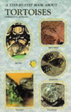 Step-By-Step About Tortoises