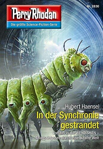 Perry Rhodan 2830: In der Synchronie gestrandet: Perry Rhodan-Zyklus "Die Jenzeitigen Lande" (Perry Rhodan-Erstauflage)