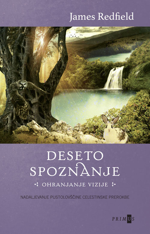 Deseto spoznanje: ohranjanje vizije: nadaljevanje pustolovščine Celestinske prerokbe