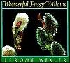 Wonderful Pussy Willows
