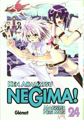 Negima! 24: Magister Negi Magi (Shonen Manga)