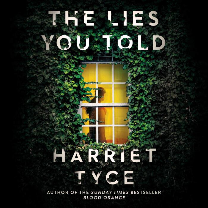 The Lies You Told: The unmissable bestselling thriller from the author of Blood Orange