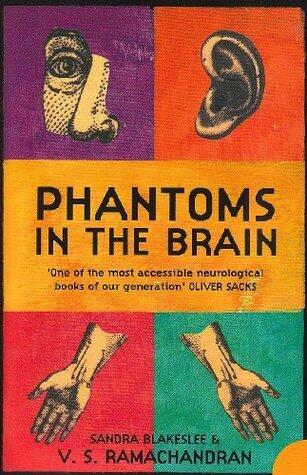 Phantoms In The Brain