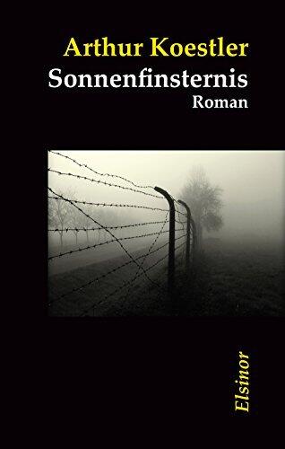 Sonnenfinsternis: Roman