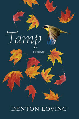 Tamp