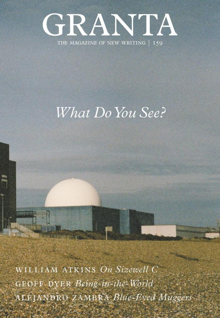 Granta 159 - What Do You See?