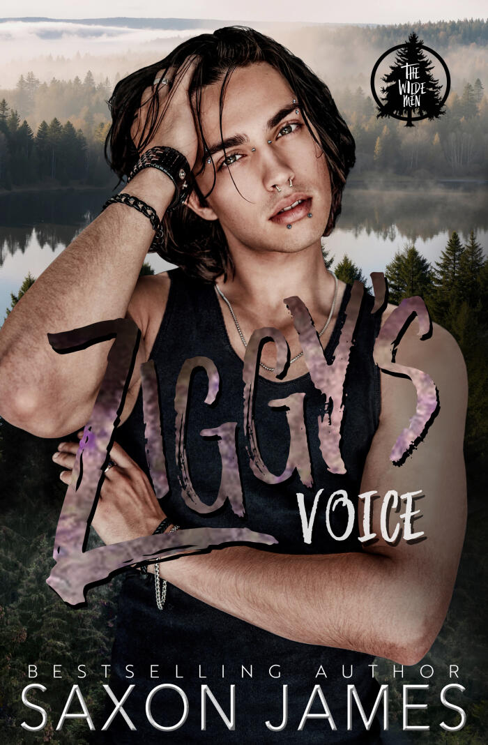 Ziggy's Voice