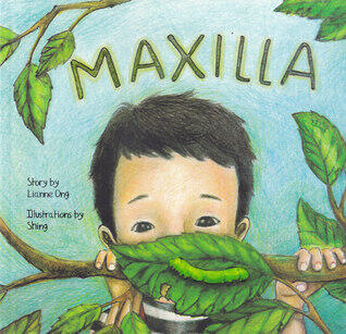 Maxilla