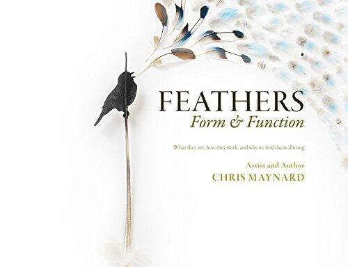 Feathers, Form & Function