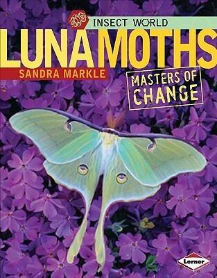 Luna Moths: Masters of Change