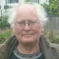 David McLellan