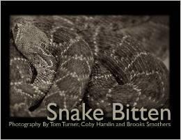 Snake Bitten