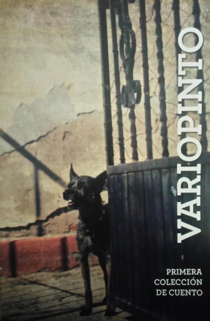Variopinto - Primera Colección de Cuentos