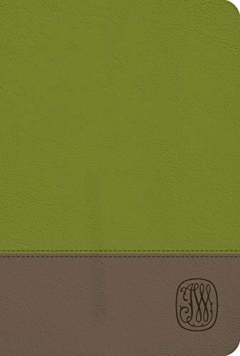 NRSV Wesley Study Bible: Sage Thicket Decotone